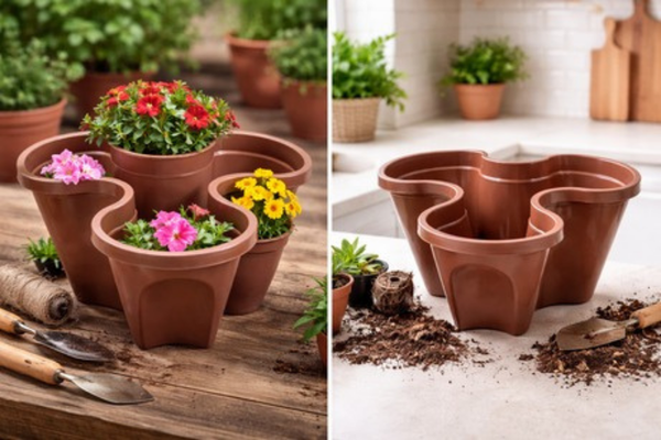 Linha Plante Mais 2